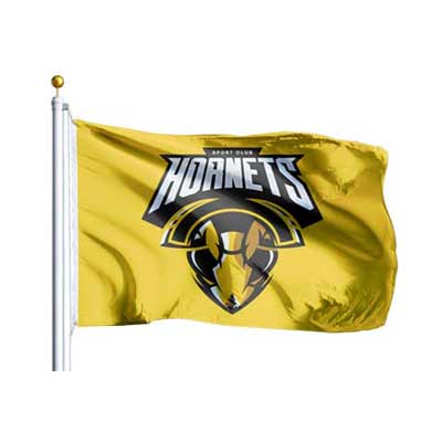 Custom 3×5 Flag - Hornets
